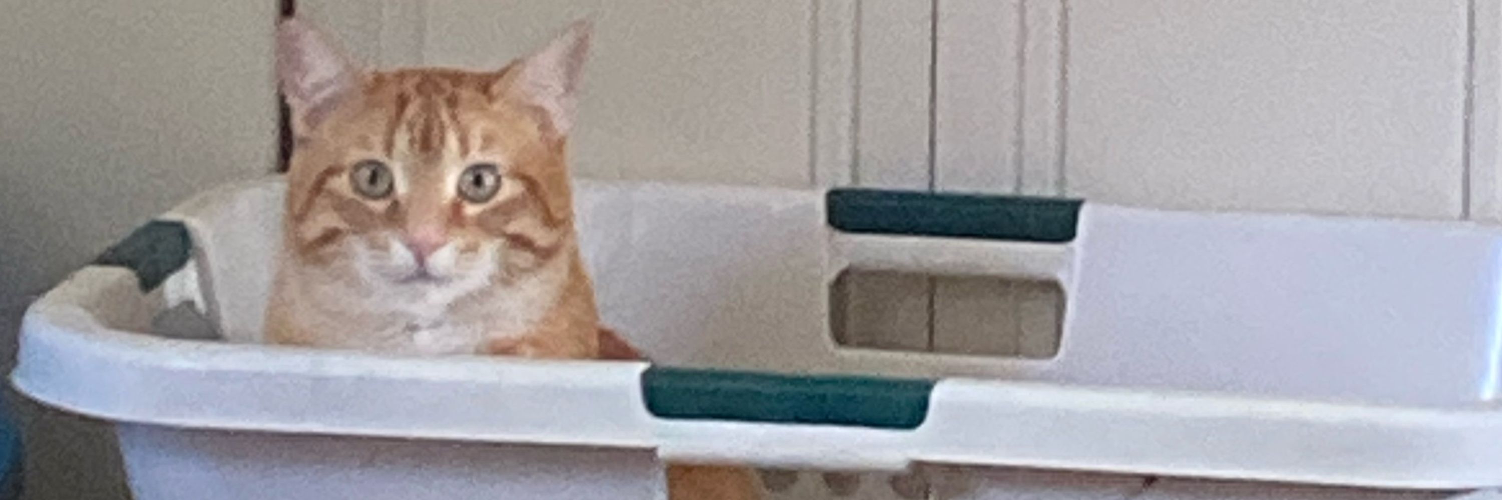 ctrlak
