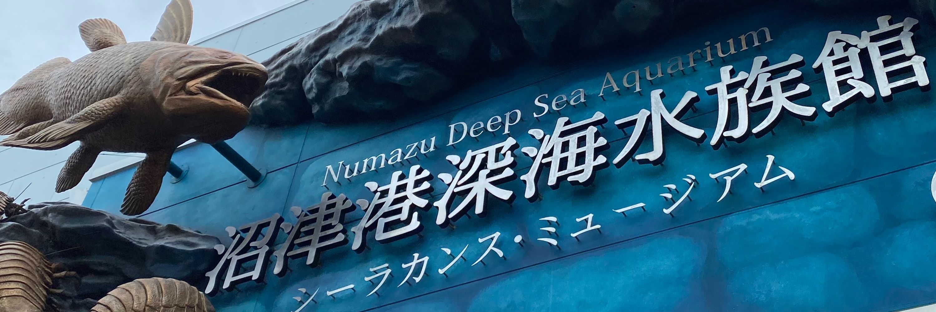 チェイサー