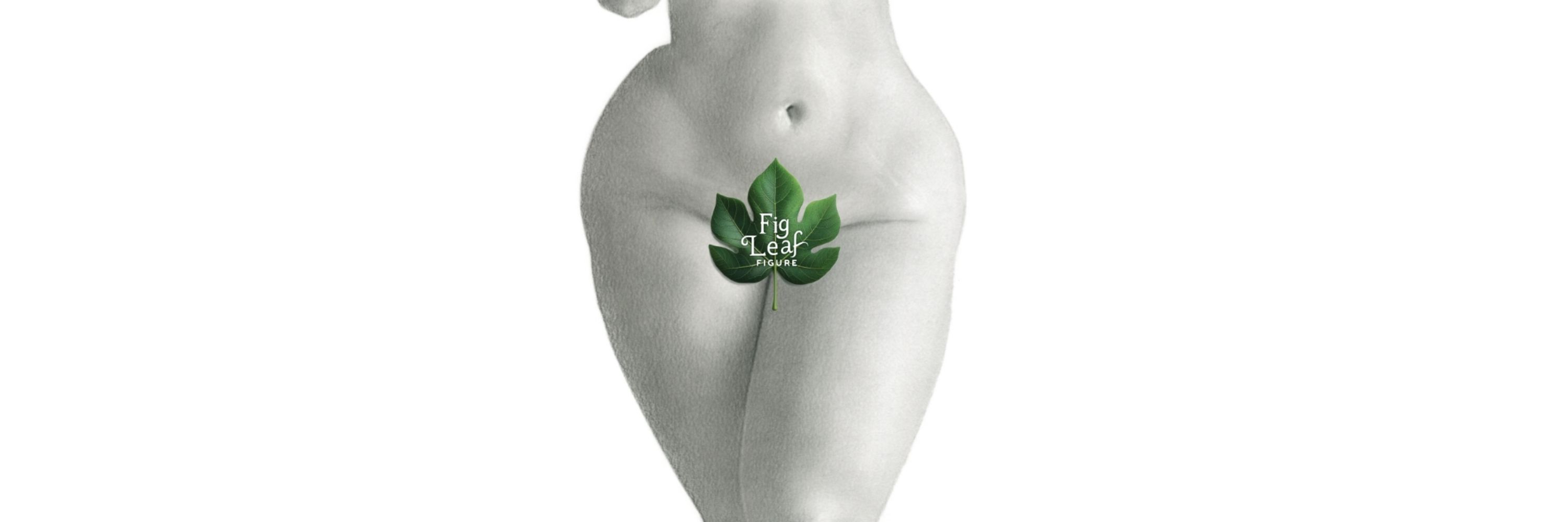 Figleaf Figure Art