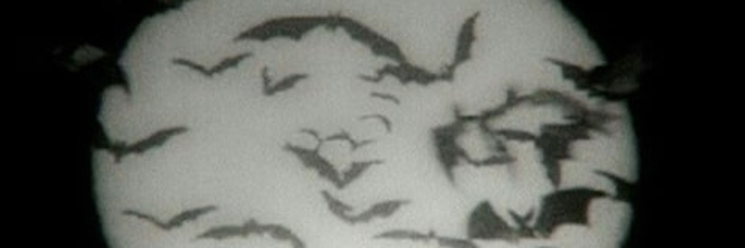 ATLAS / TABBY