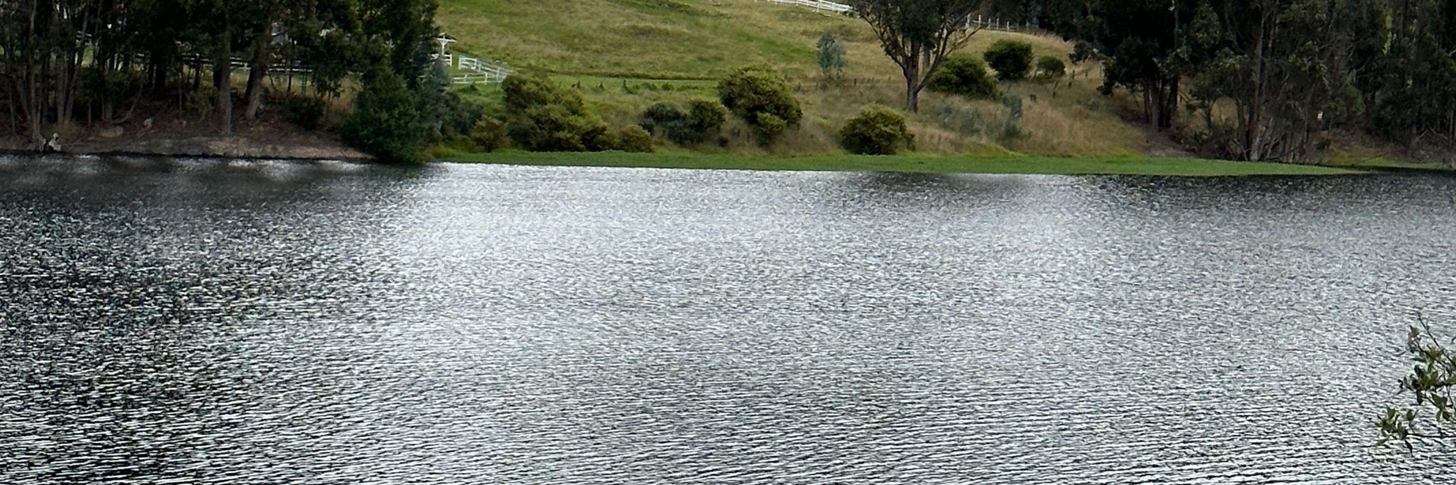  Camilo A