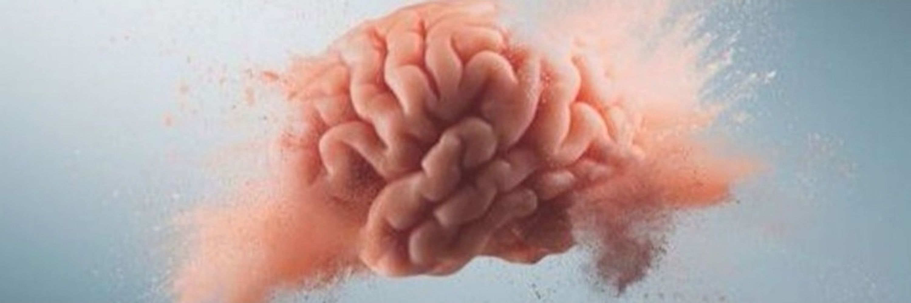 🧠 Ade's Brain
