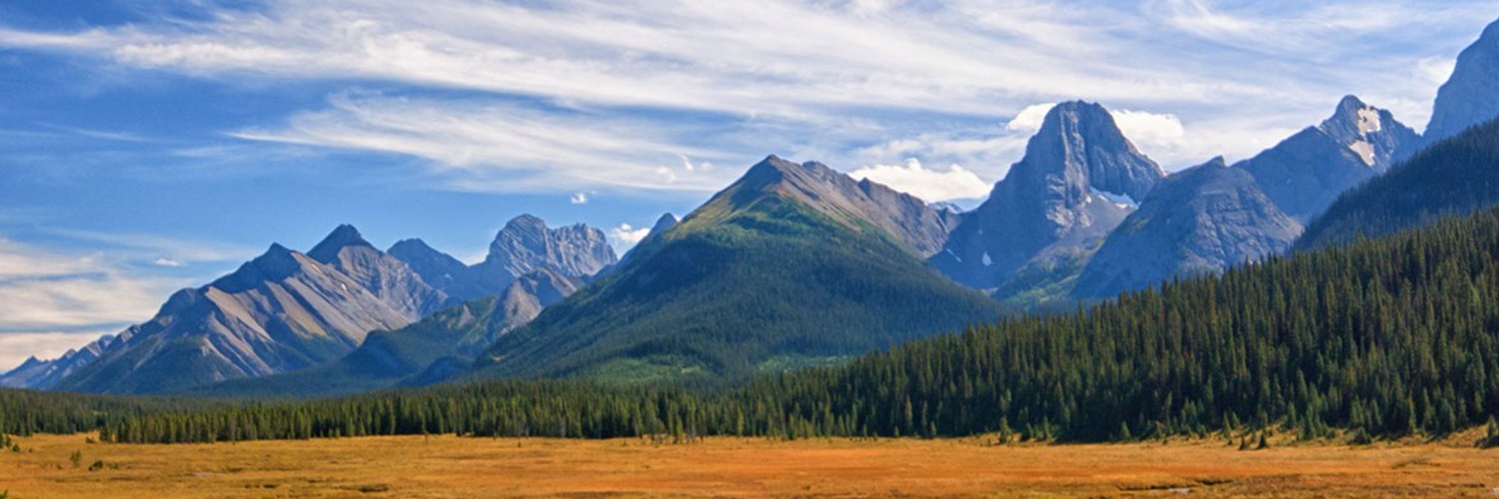 Alberta Environmental Network