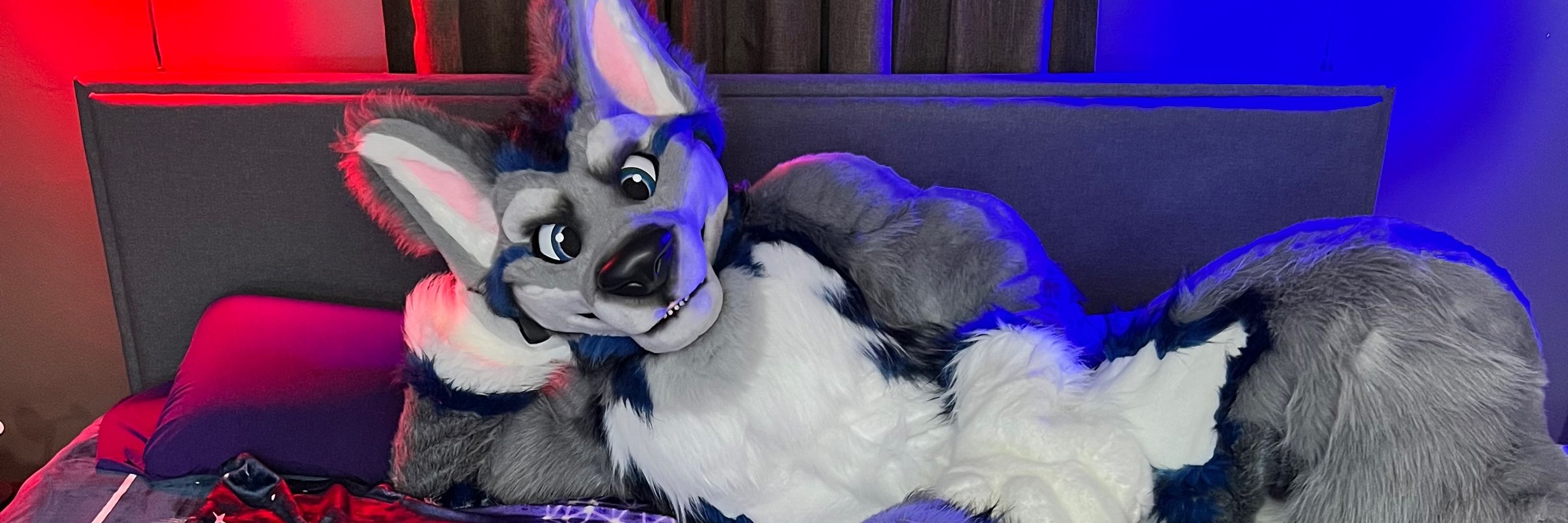 Denwolf