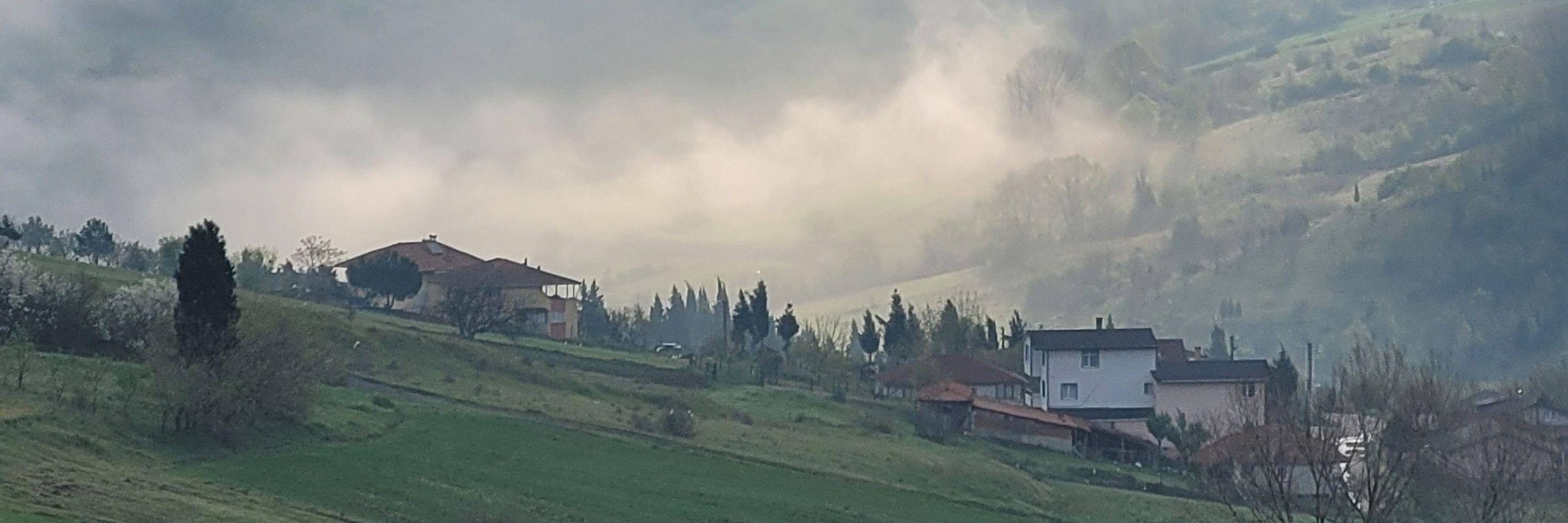 Aslı🚜