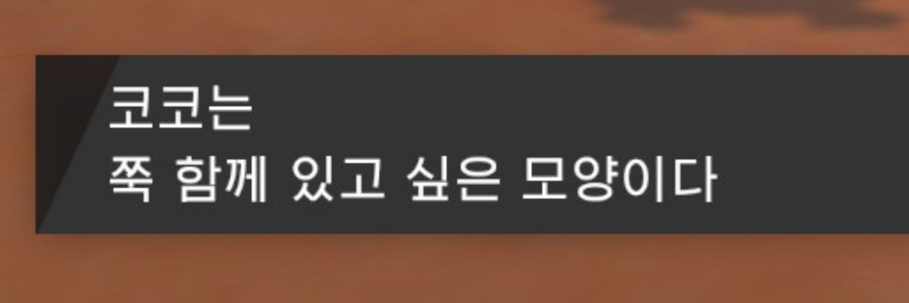 코코볼🌱