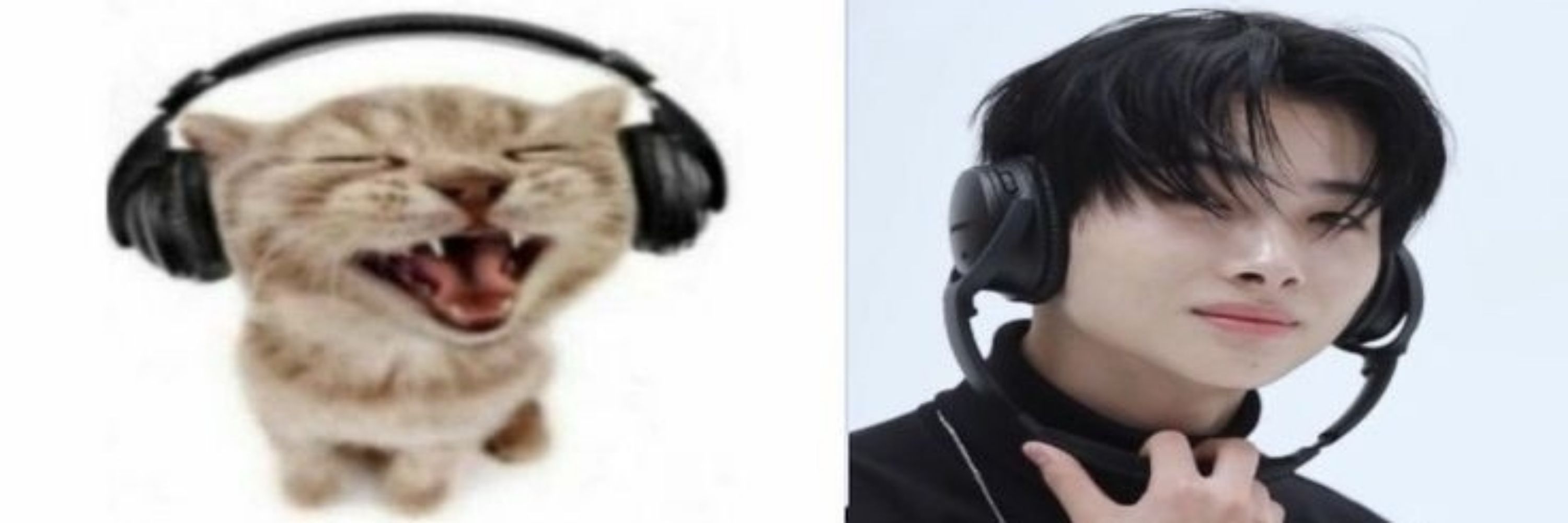 ᴇʟᴏ ɴɪꜱʜɪᴍᴜʀᴀ ᴅᴀ ꜱɪʟᴠᴀ !