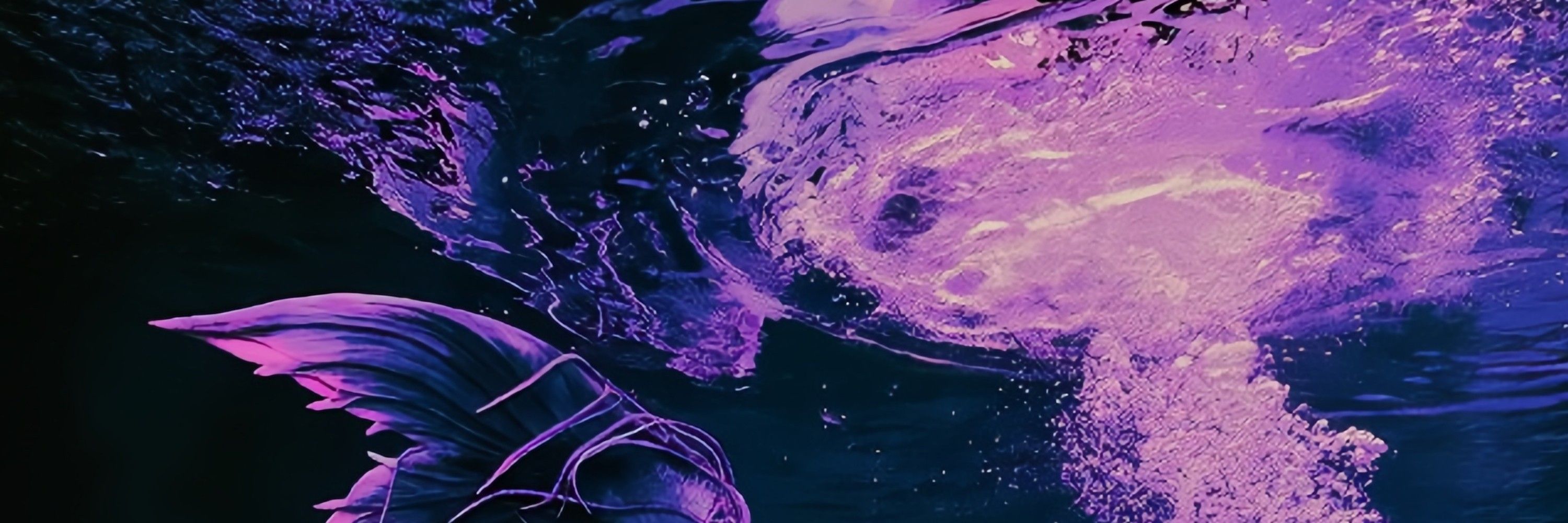 𝑺xuα