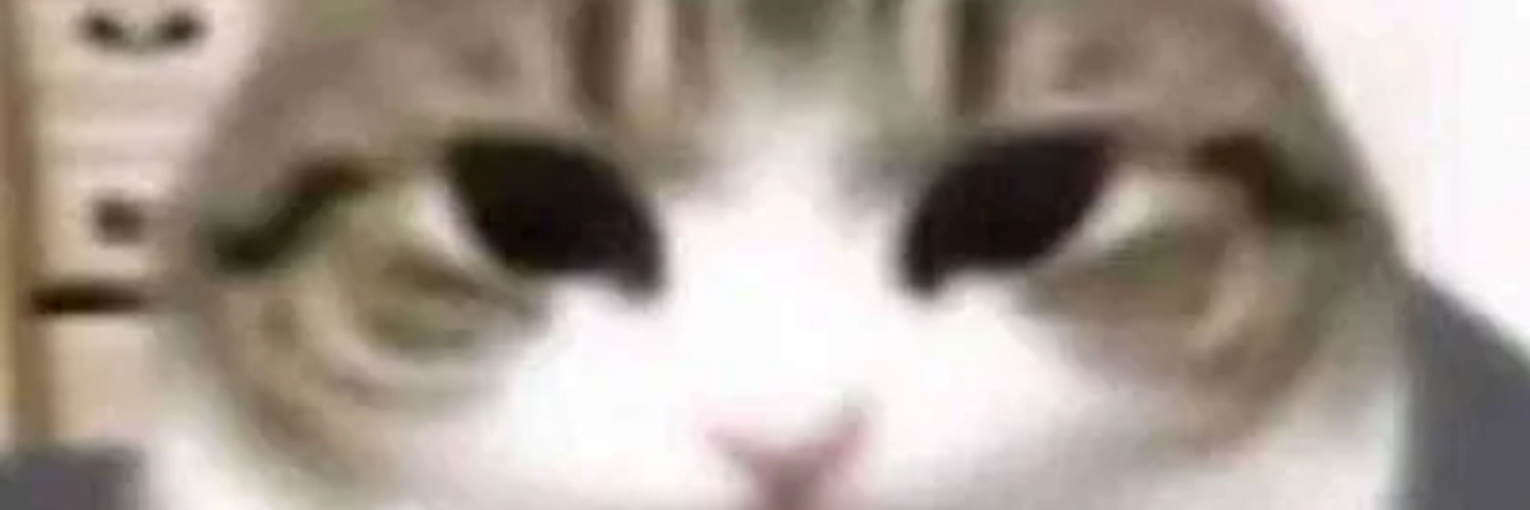 Critterful
