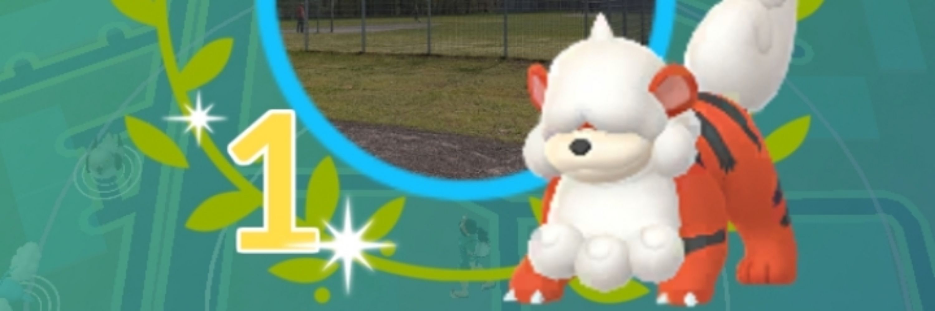 Ayu