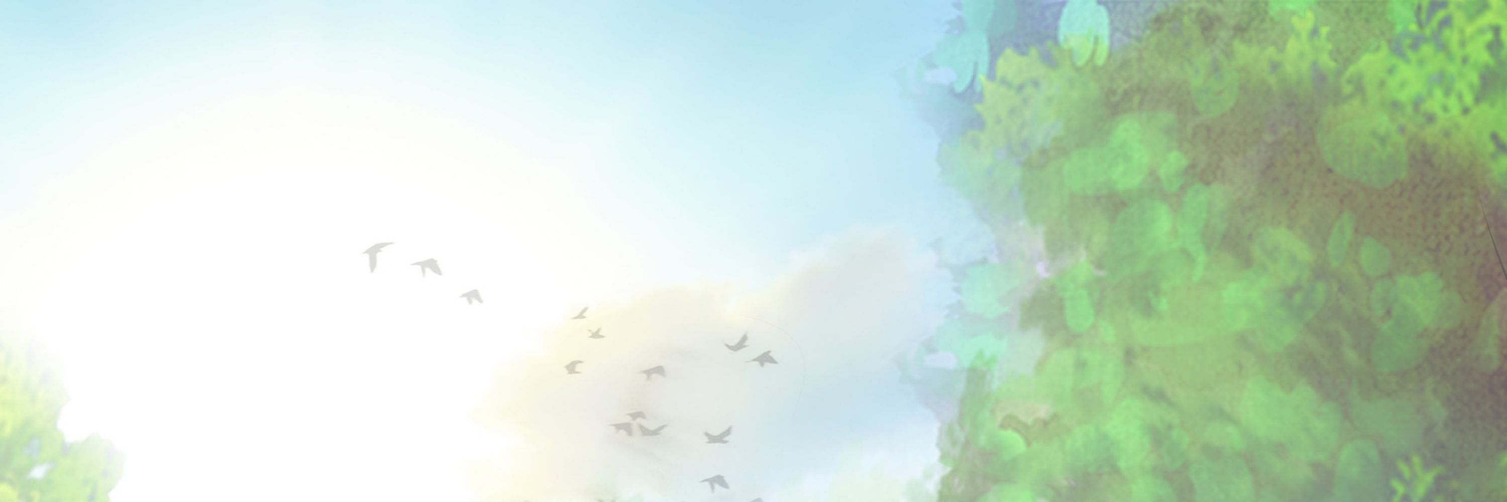 Aster