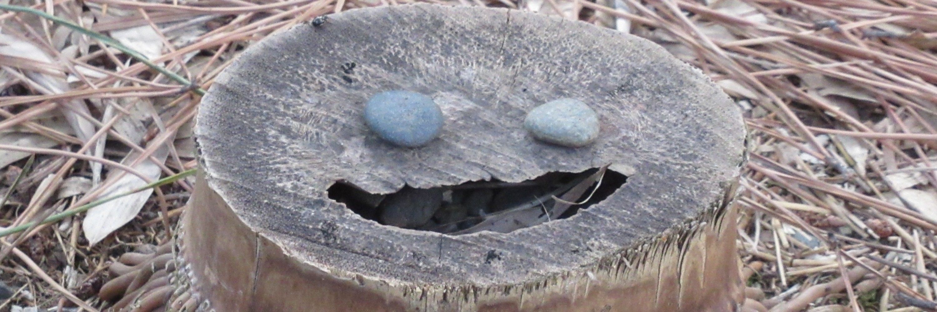 にあざう