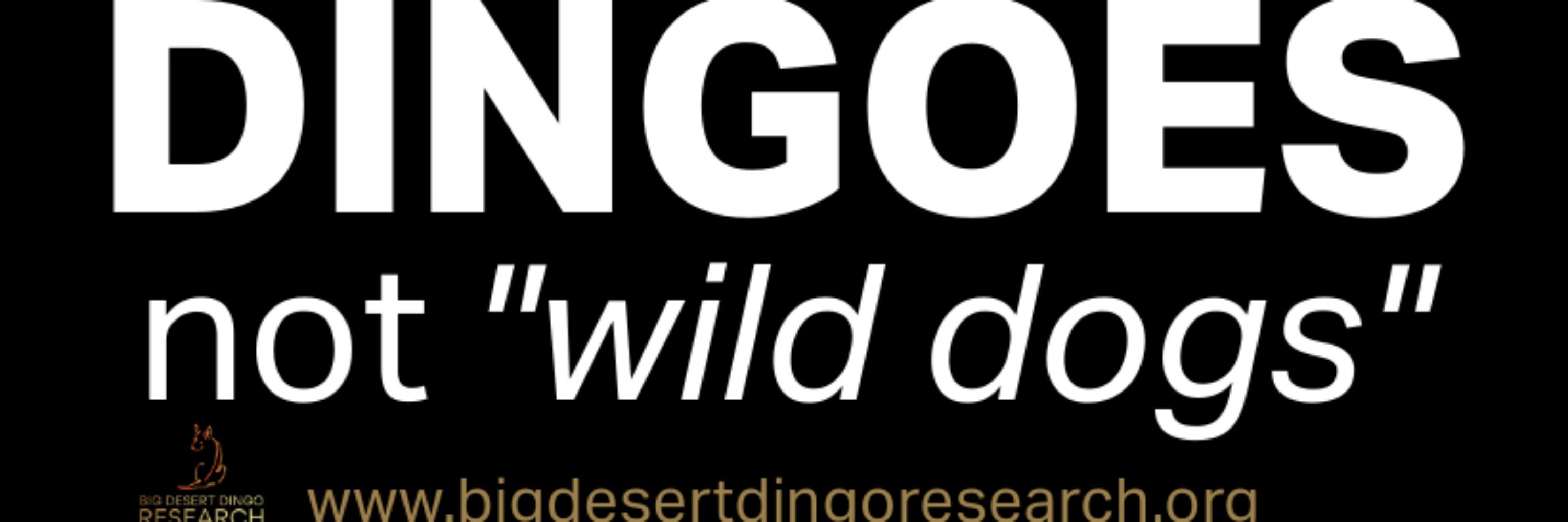 Big Desert Dingo Research