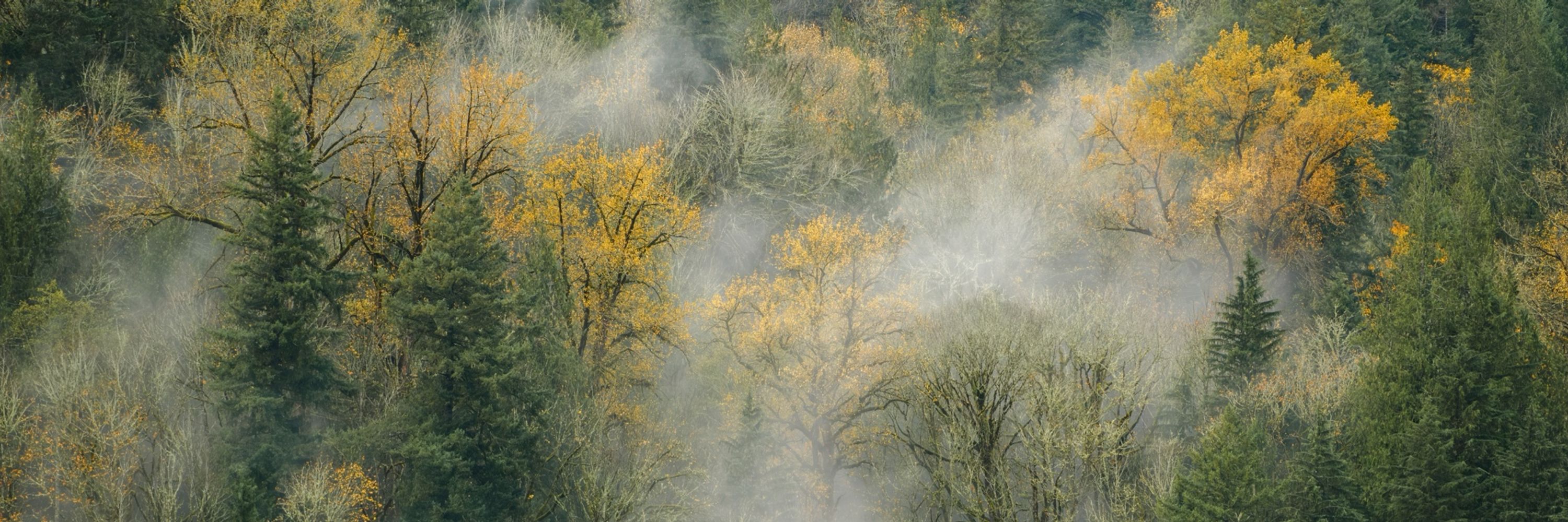 Paul Marcoe | PNW Photographer
