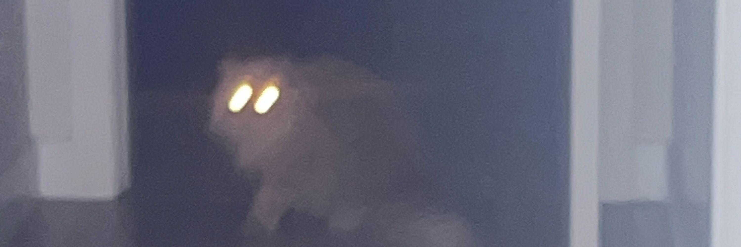 La ✠