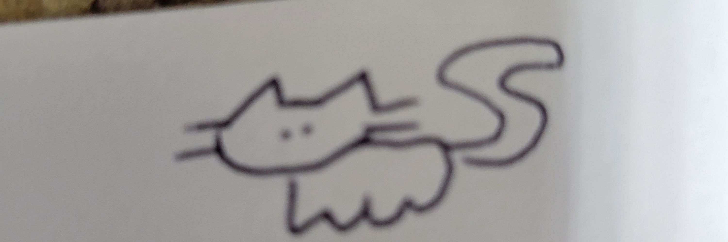 CrayonCat117