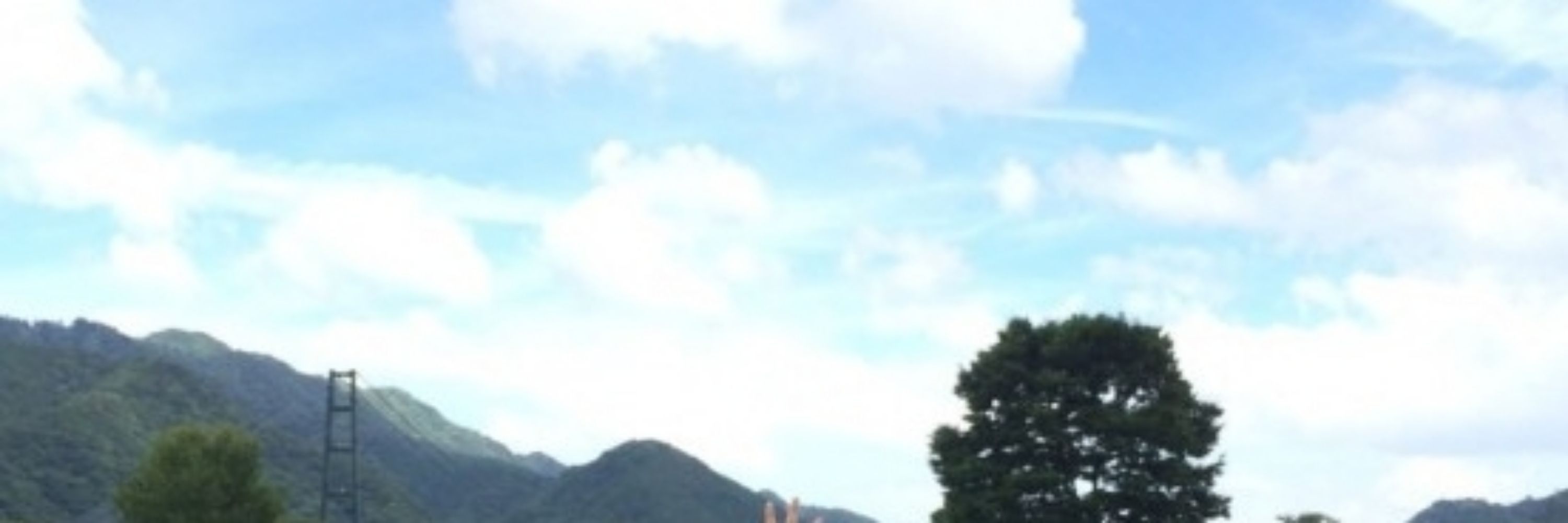青色ぜっと