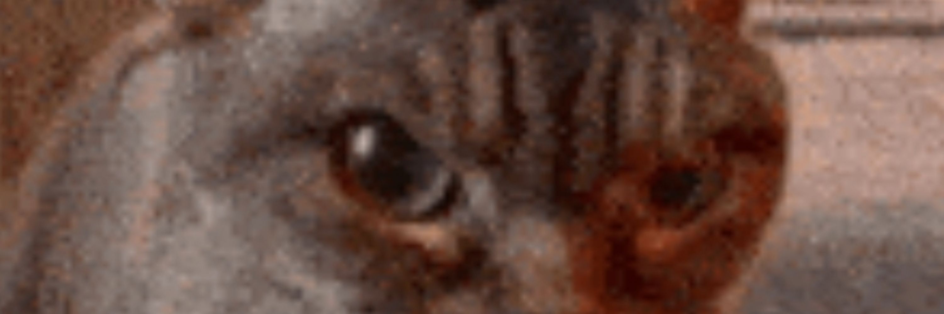 Jão / Sãçungui