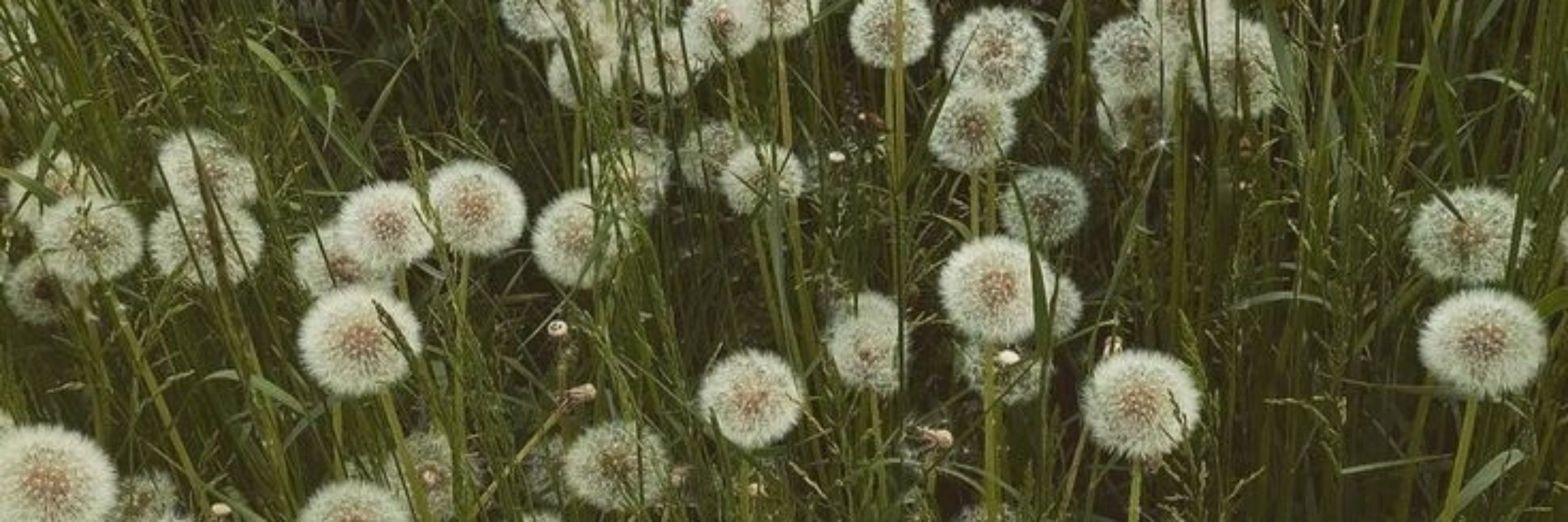 Ueberti 