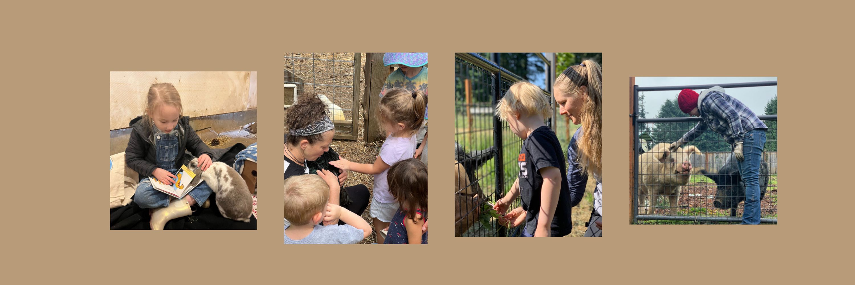 Blue Barn Farm & Sanctuary