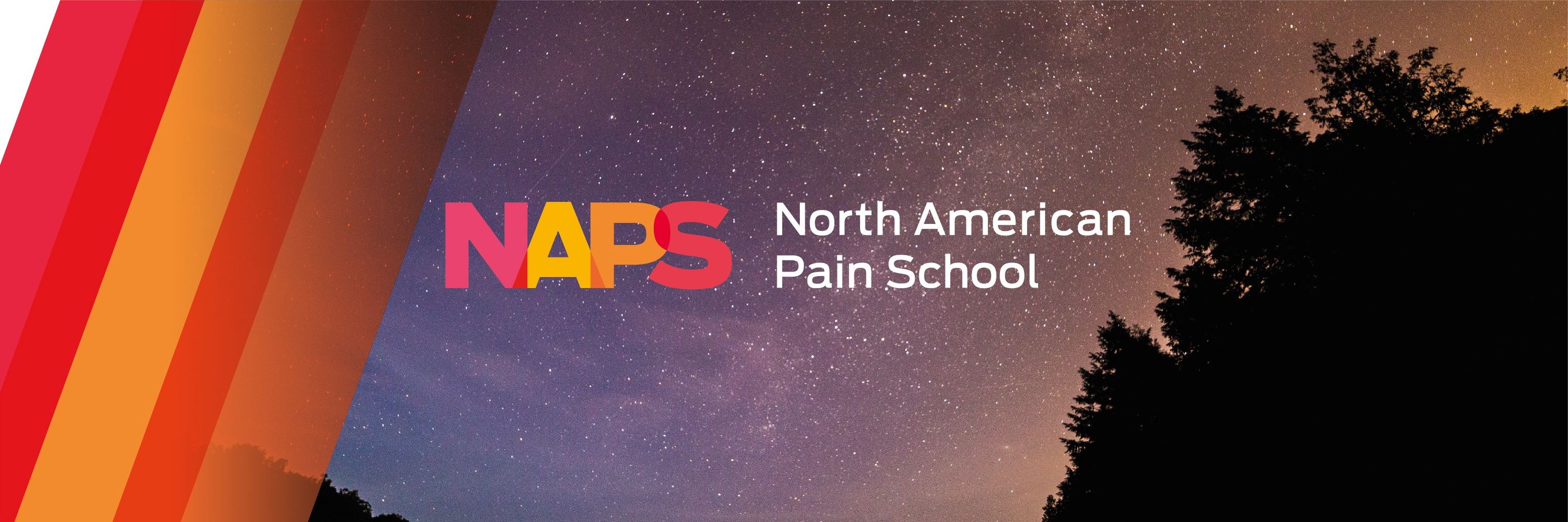North American Pain School