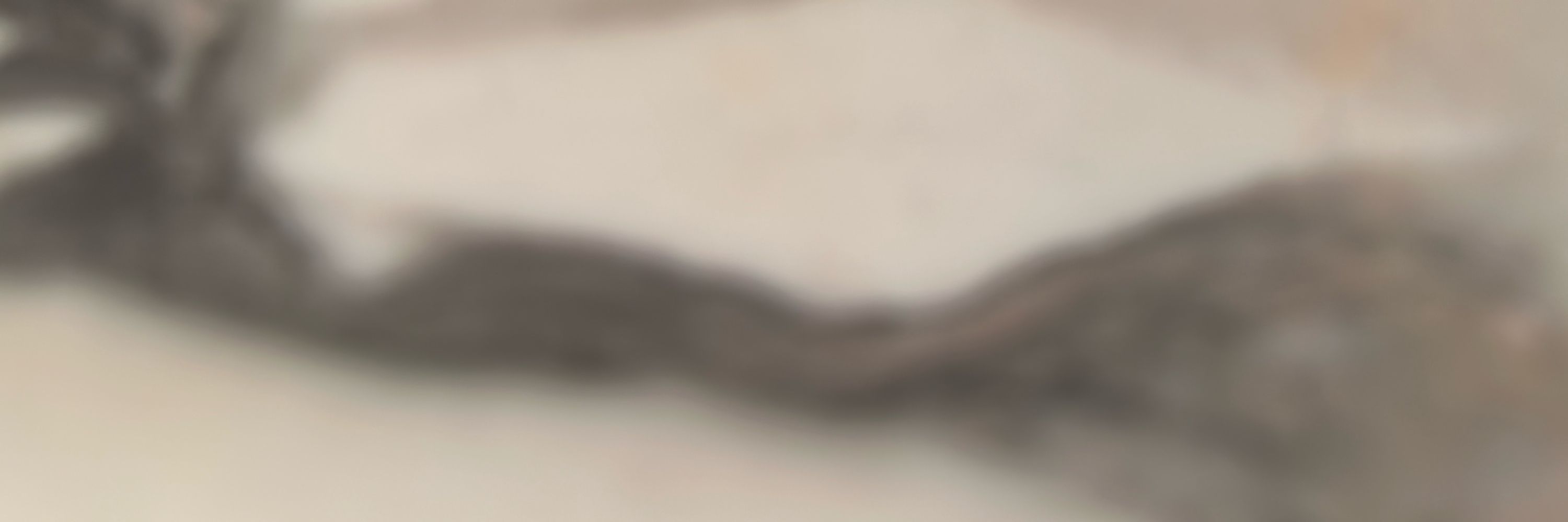 Dom 0451