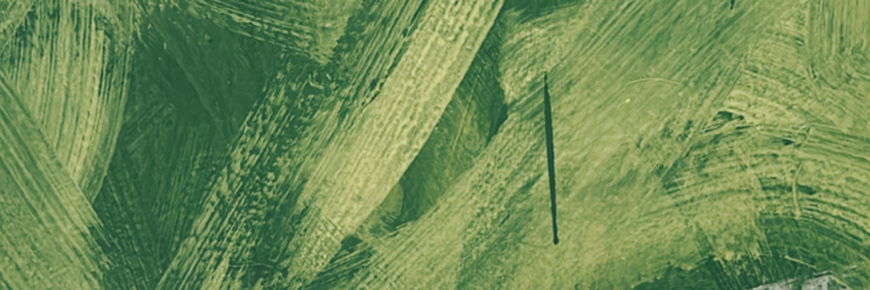 tamakastudio