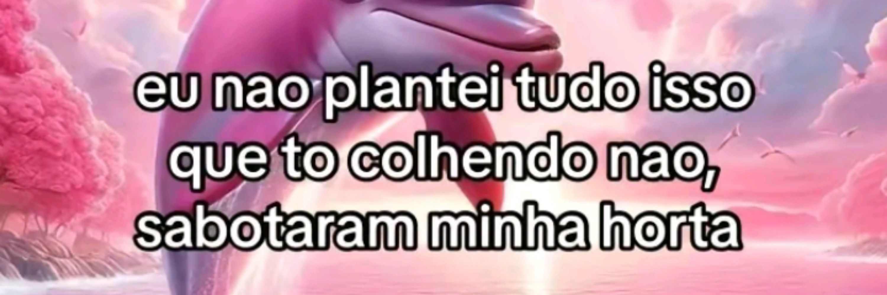 luiza