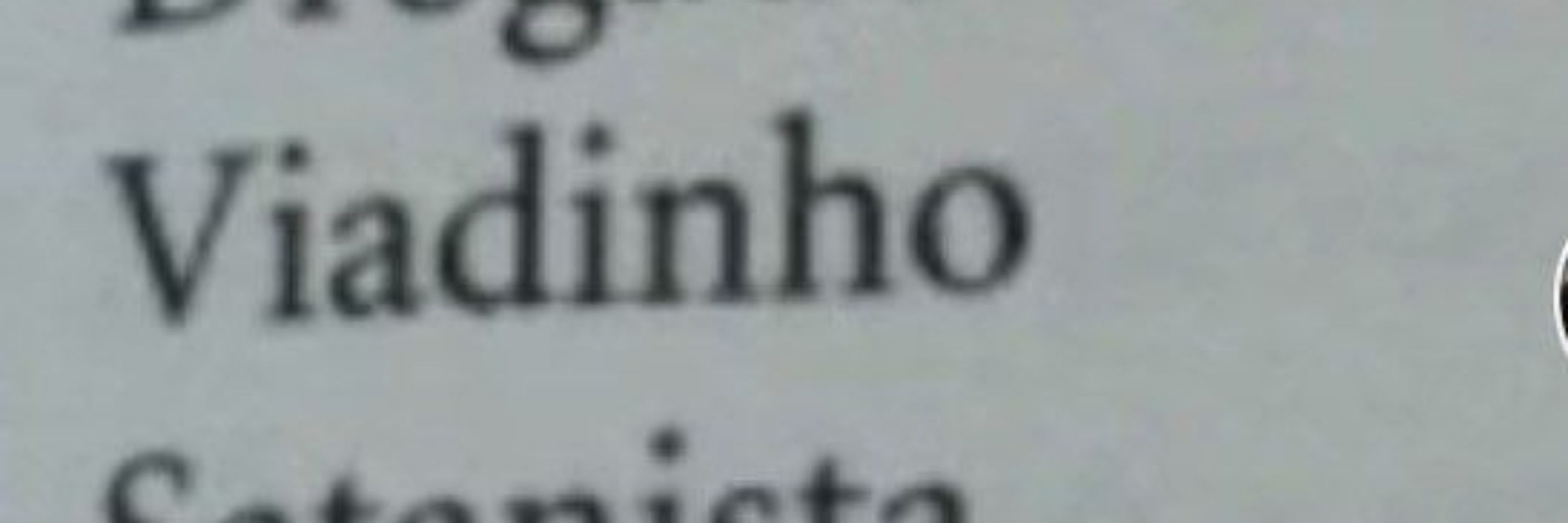 Arthur🦐