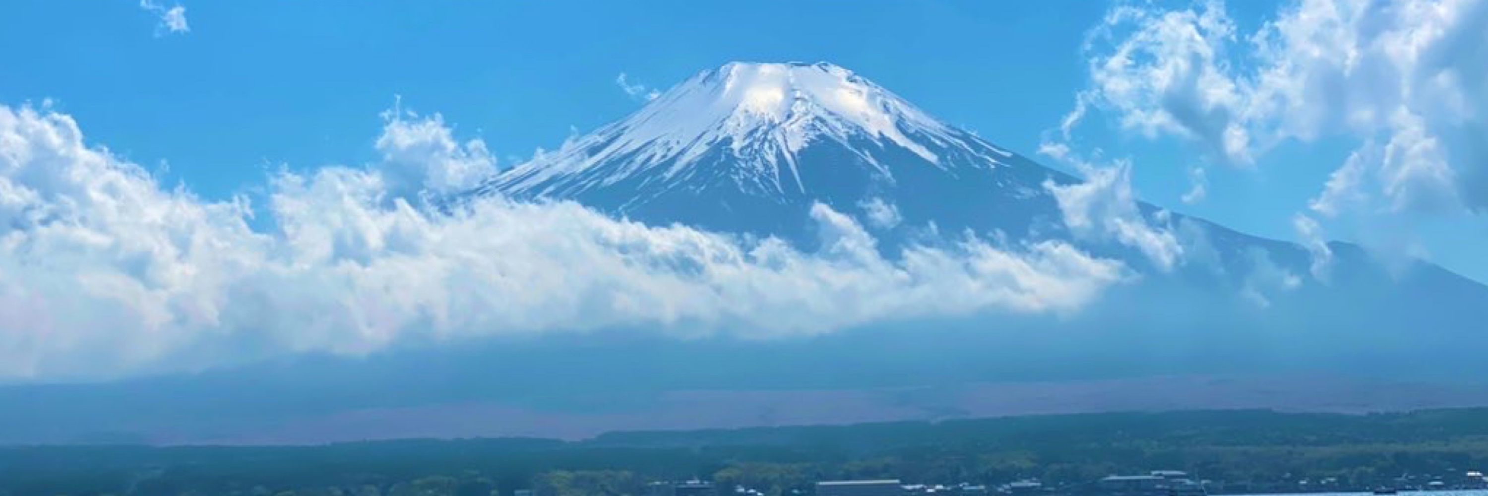 愛たん