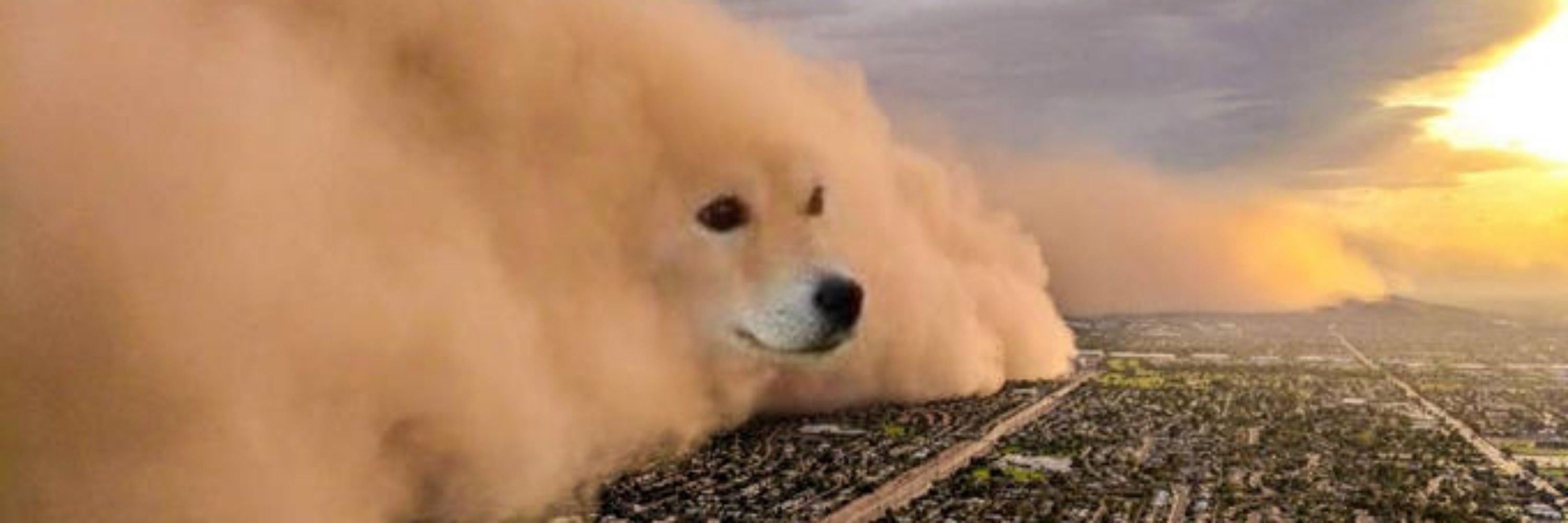 Korochubby