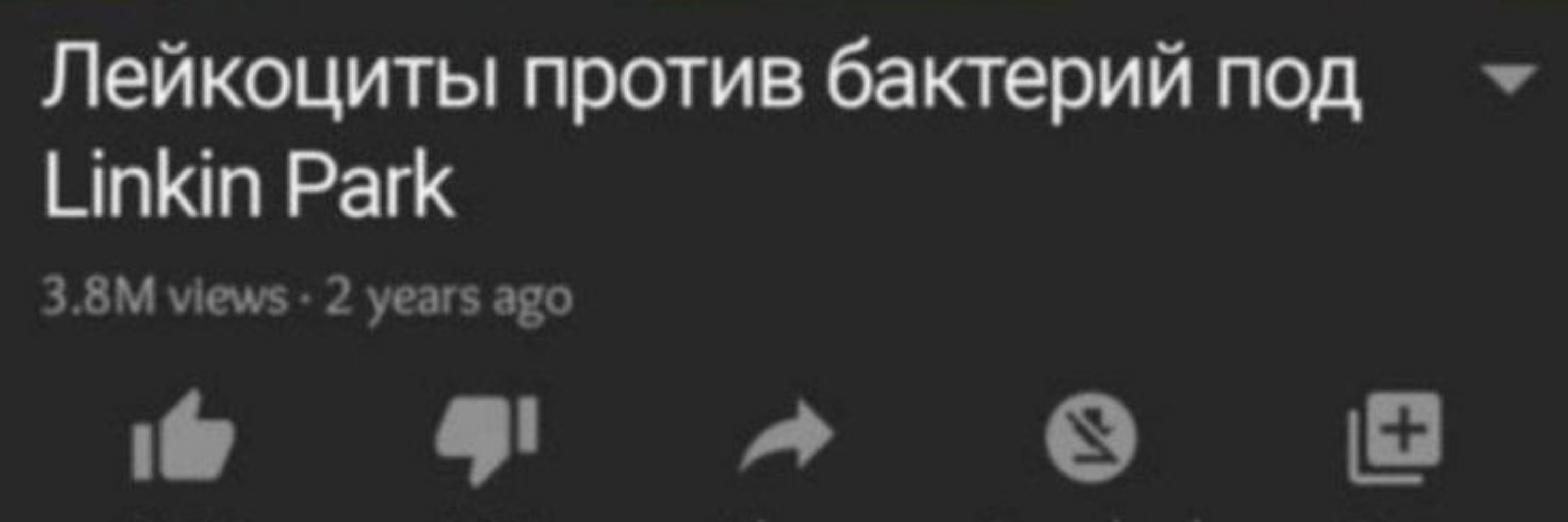 Смок'Емае😺