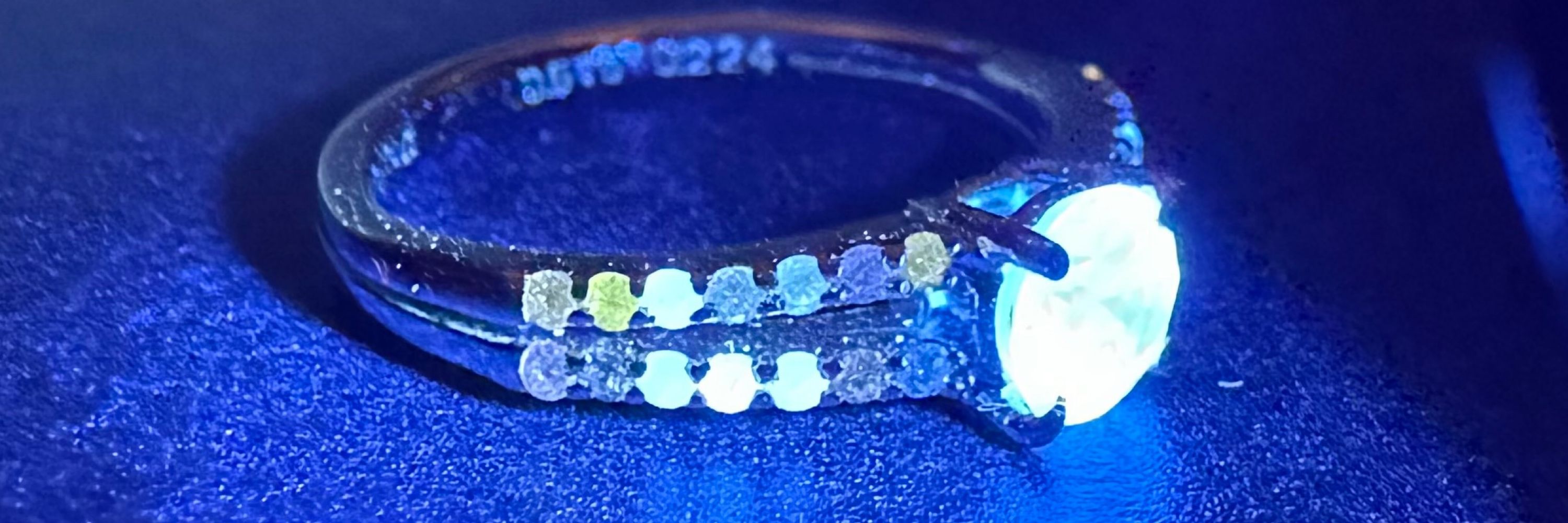 AQUA/DEAREST COLOR