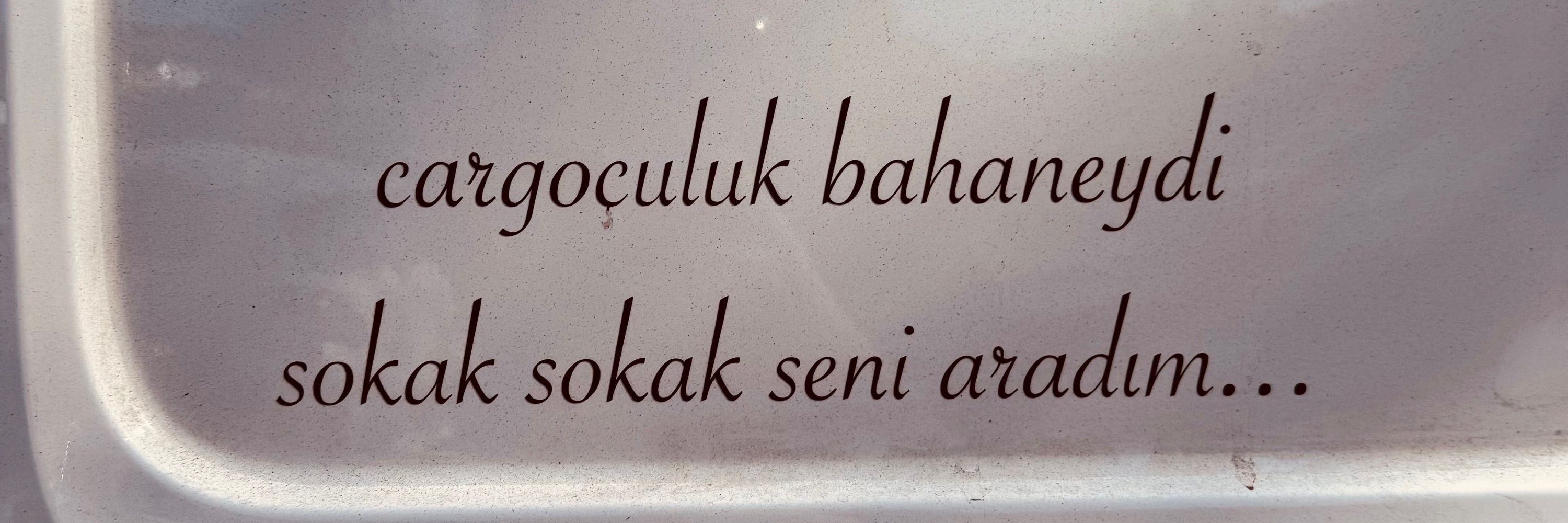 Bir deli mavi kedi 💙