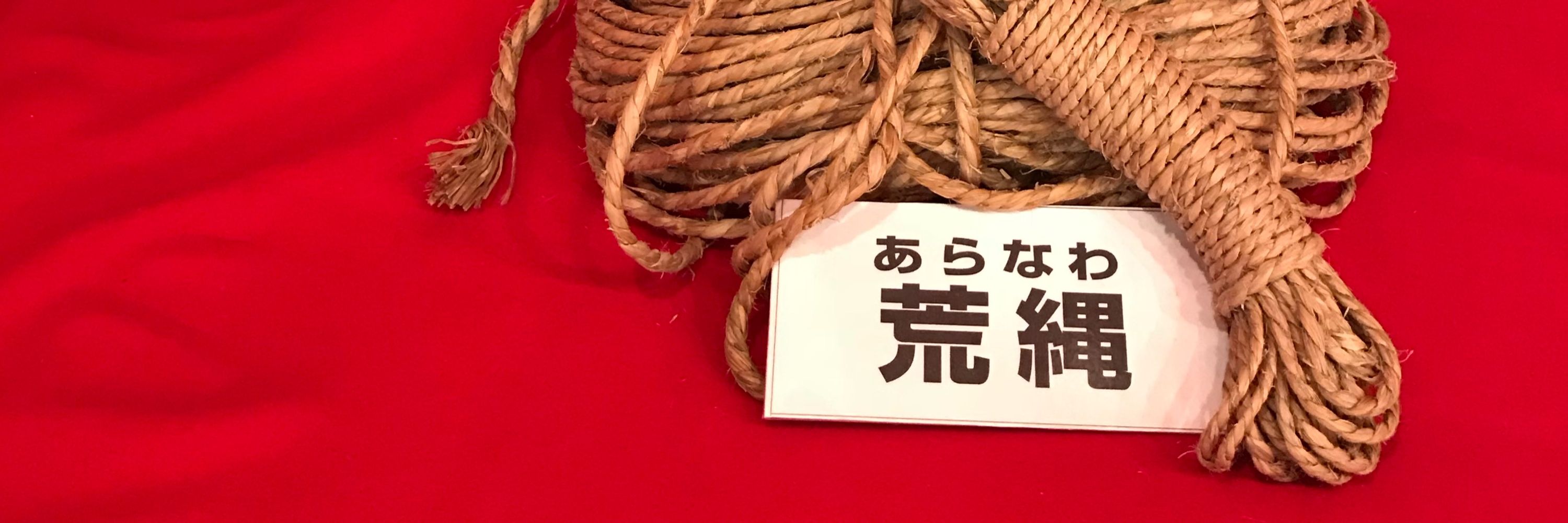 シカ野キニ