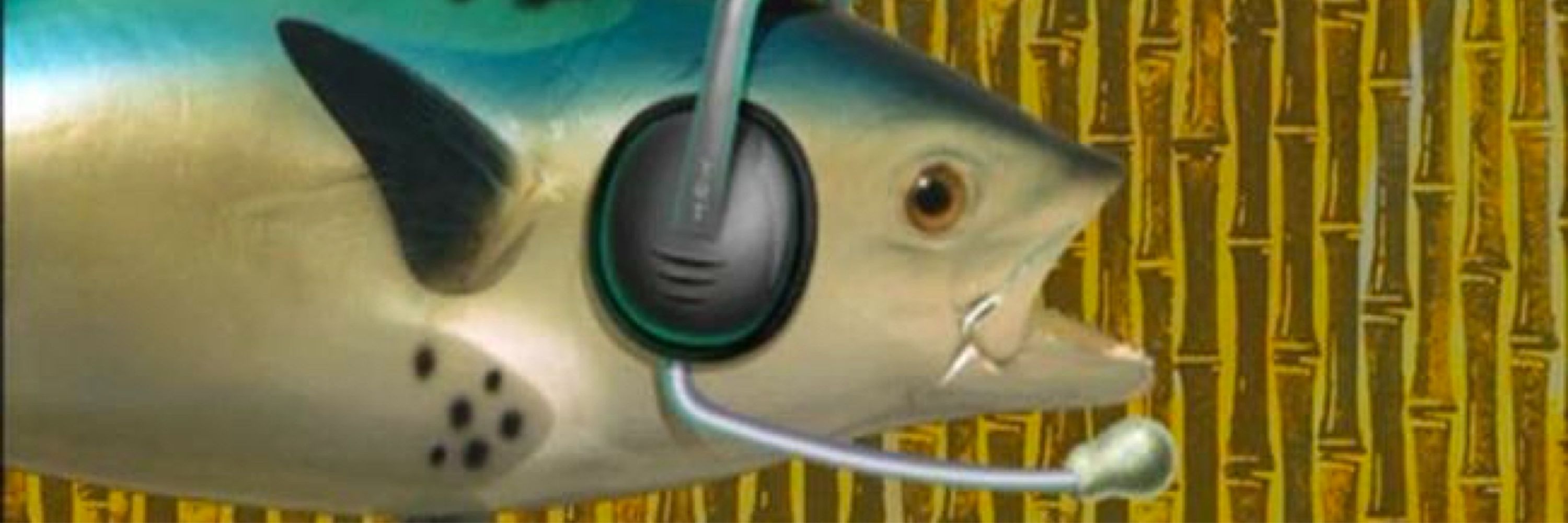 freshwater_salmon
