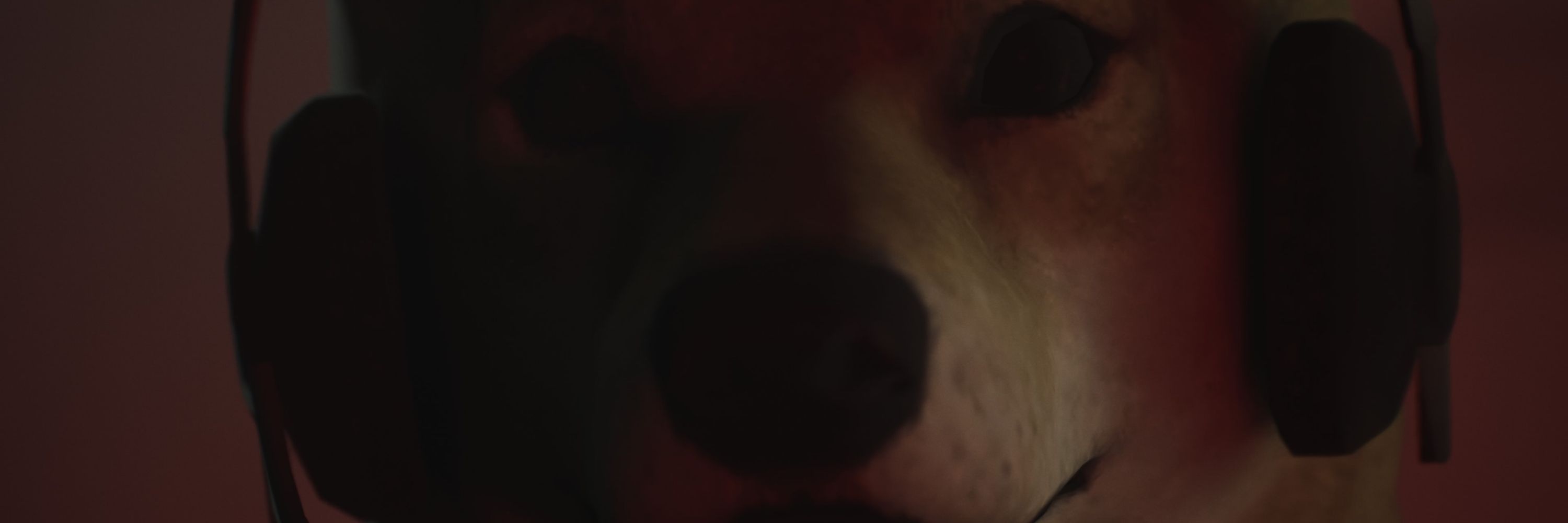 narvhyzz