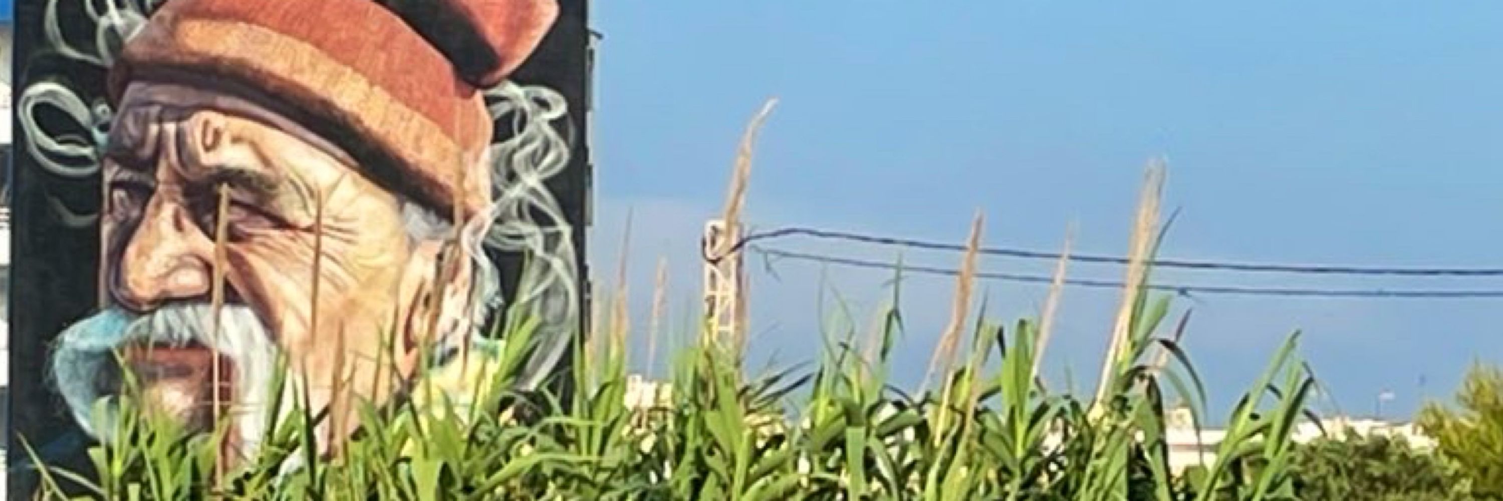 Roseta,la que parle tortosí