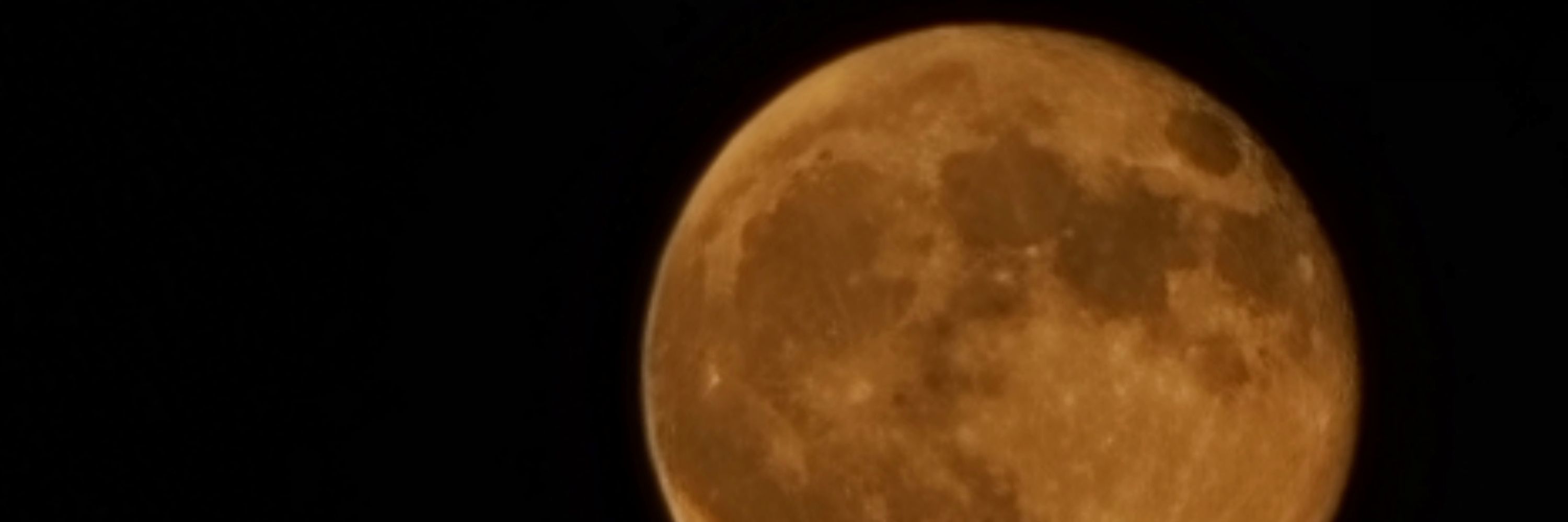 Moonpie