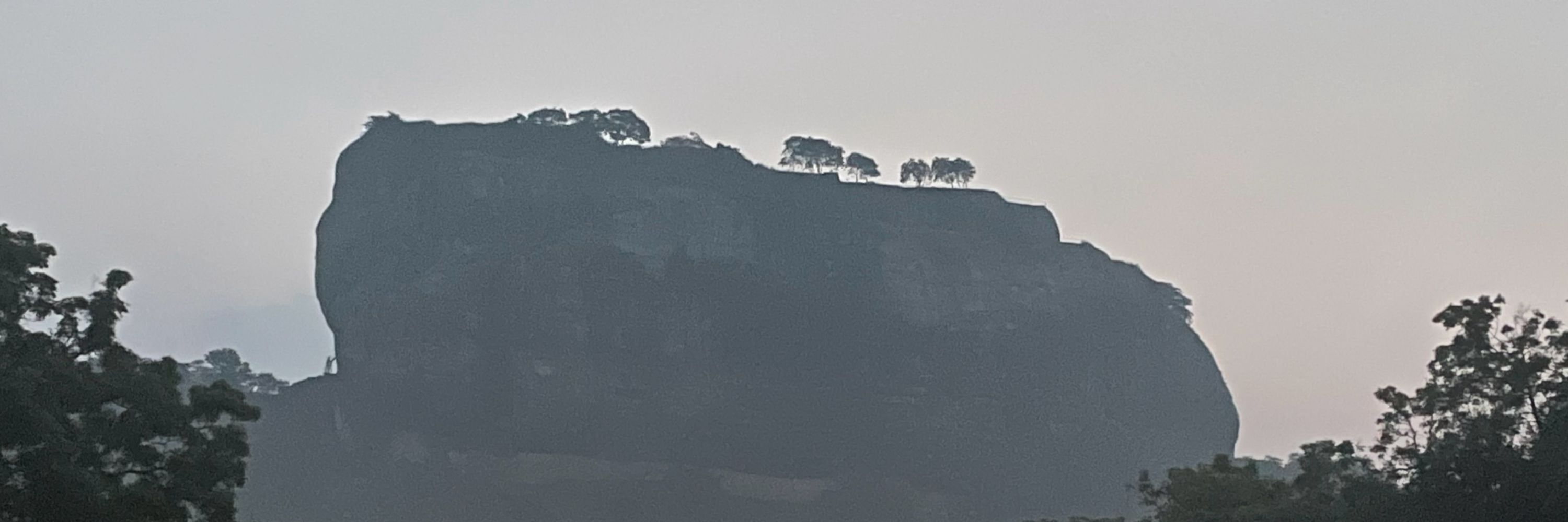 Albymarch