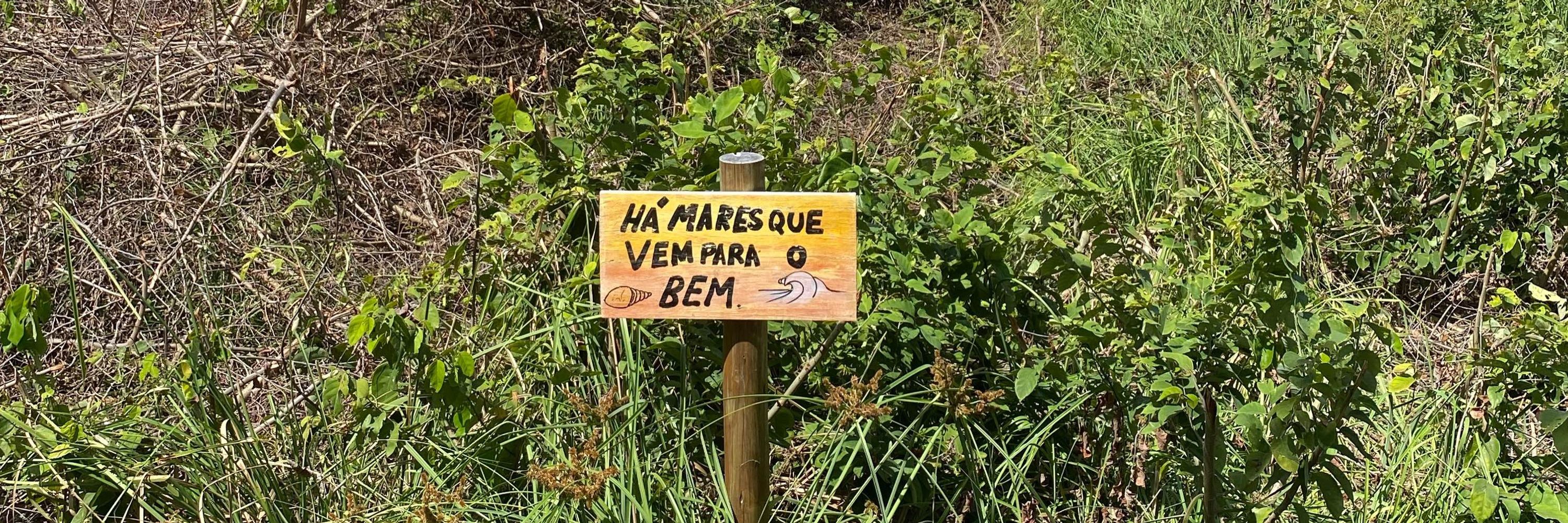 Ahmandita