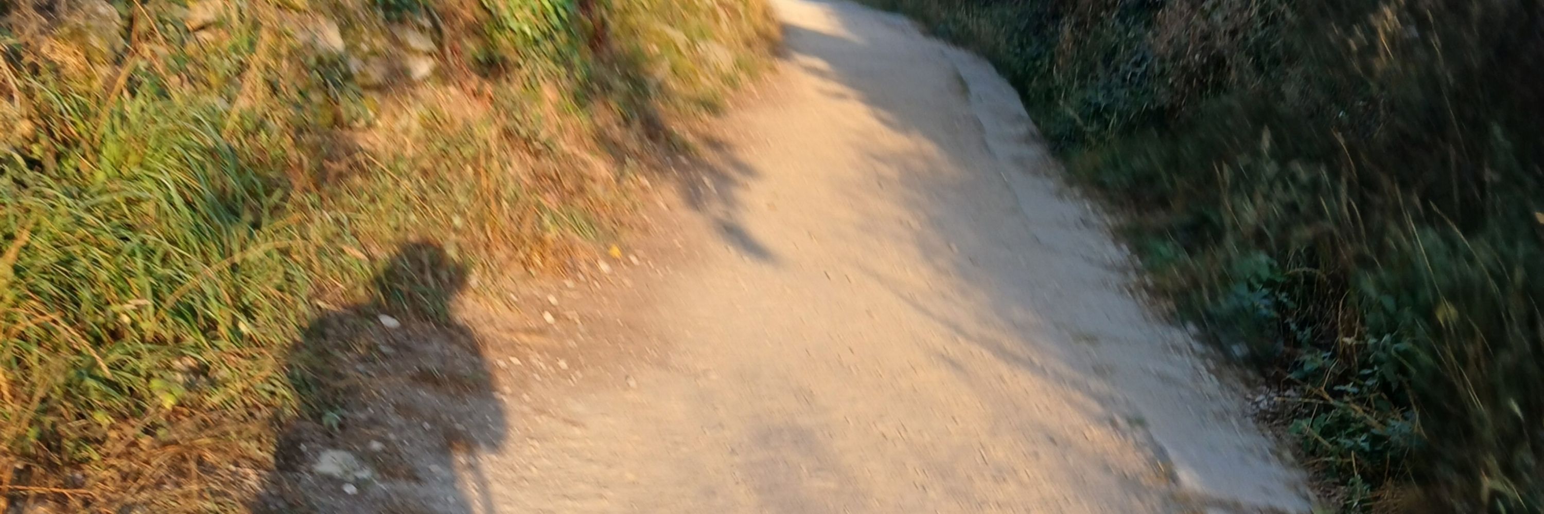 Life is a Walk