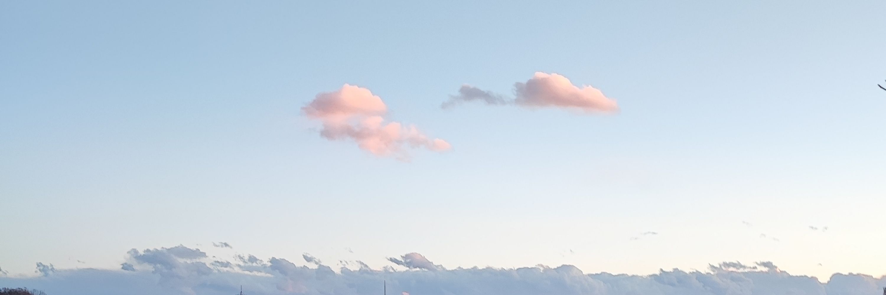 むつき
