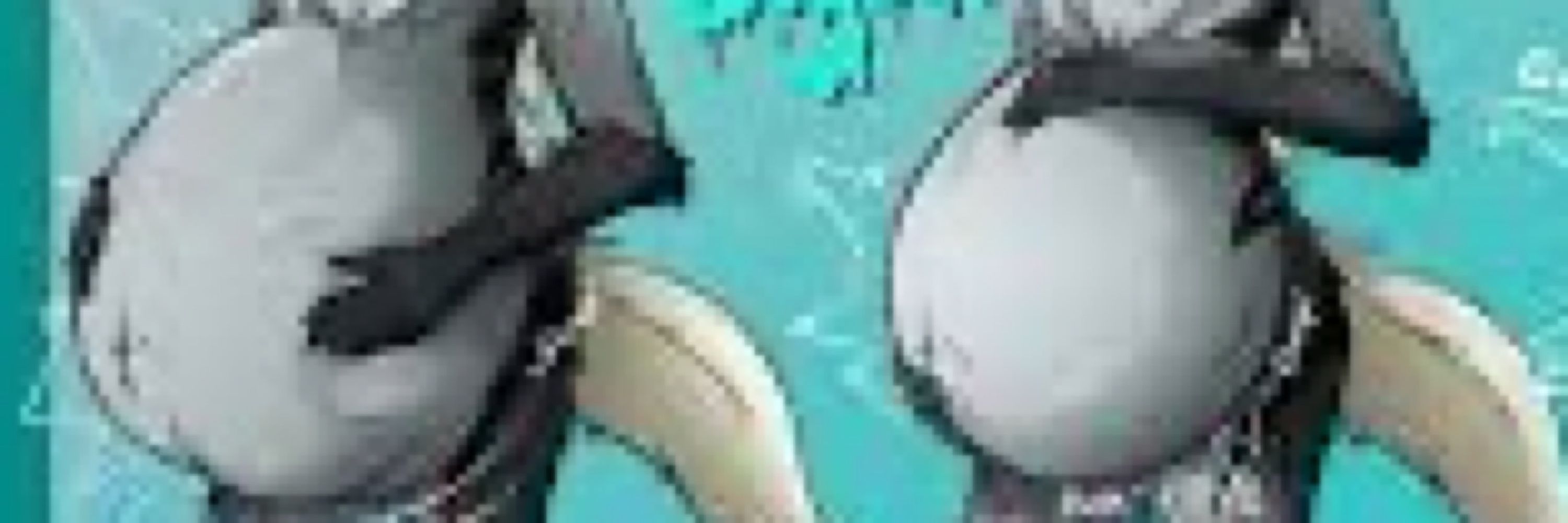 Your Average Vore Enjoyer 18+
