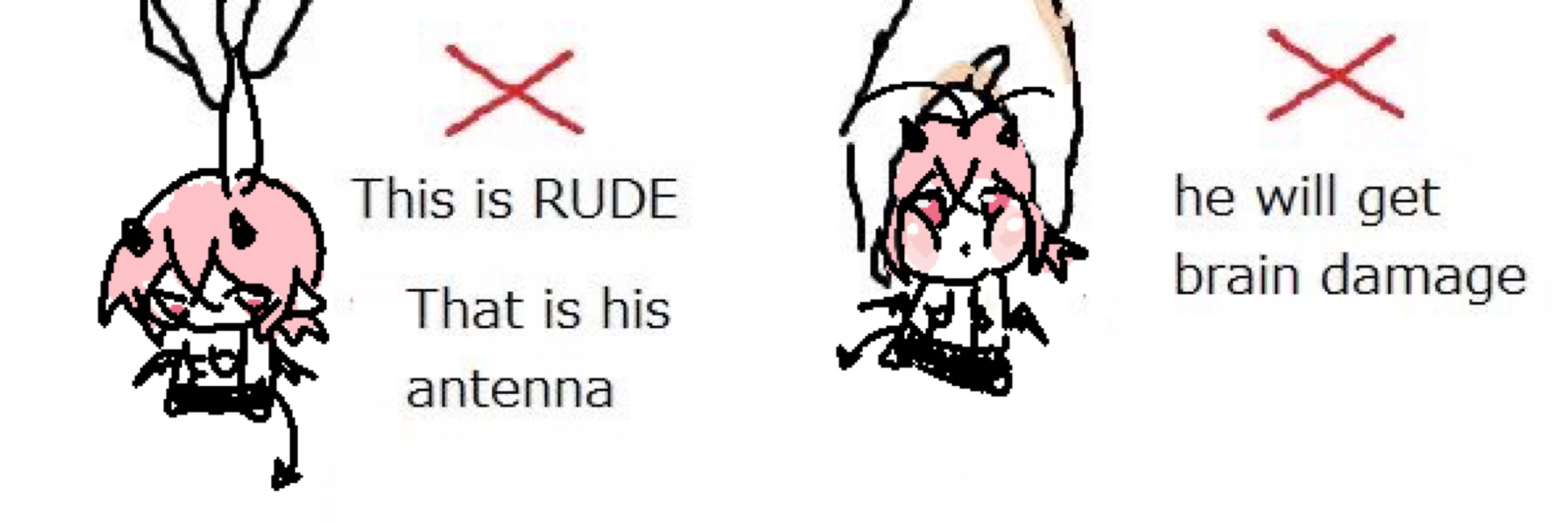 fishe