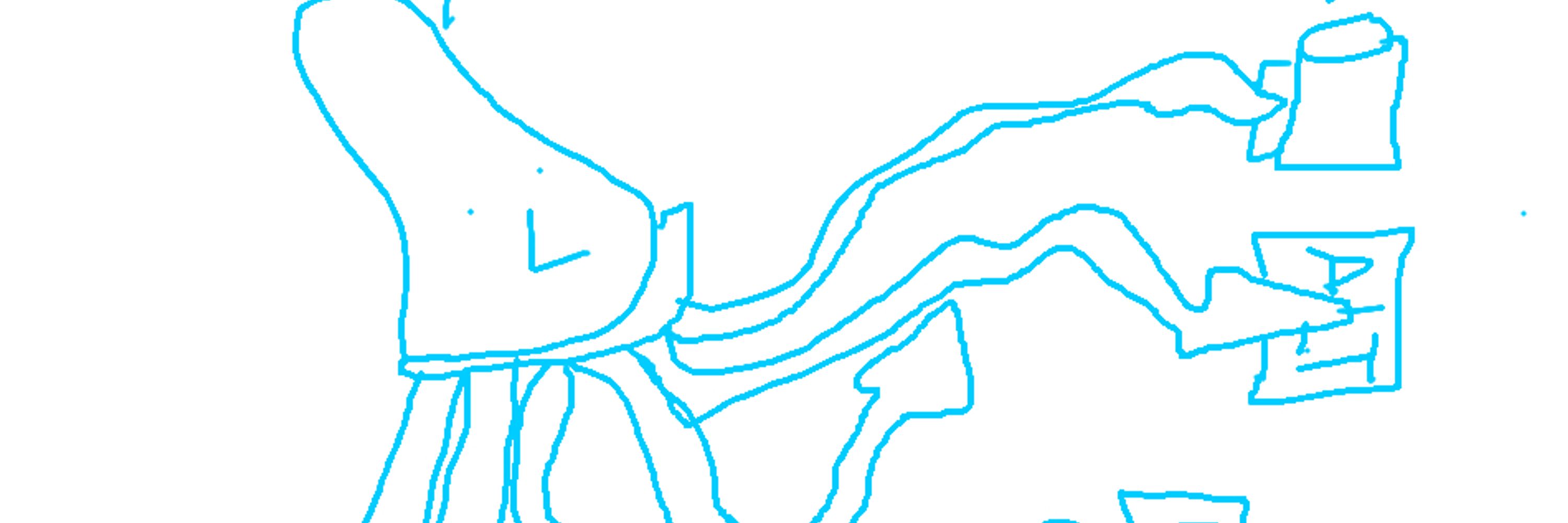 Squid Coder