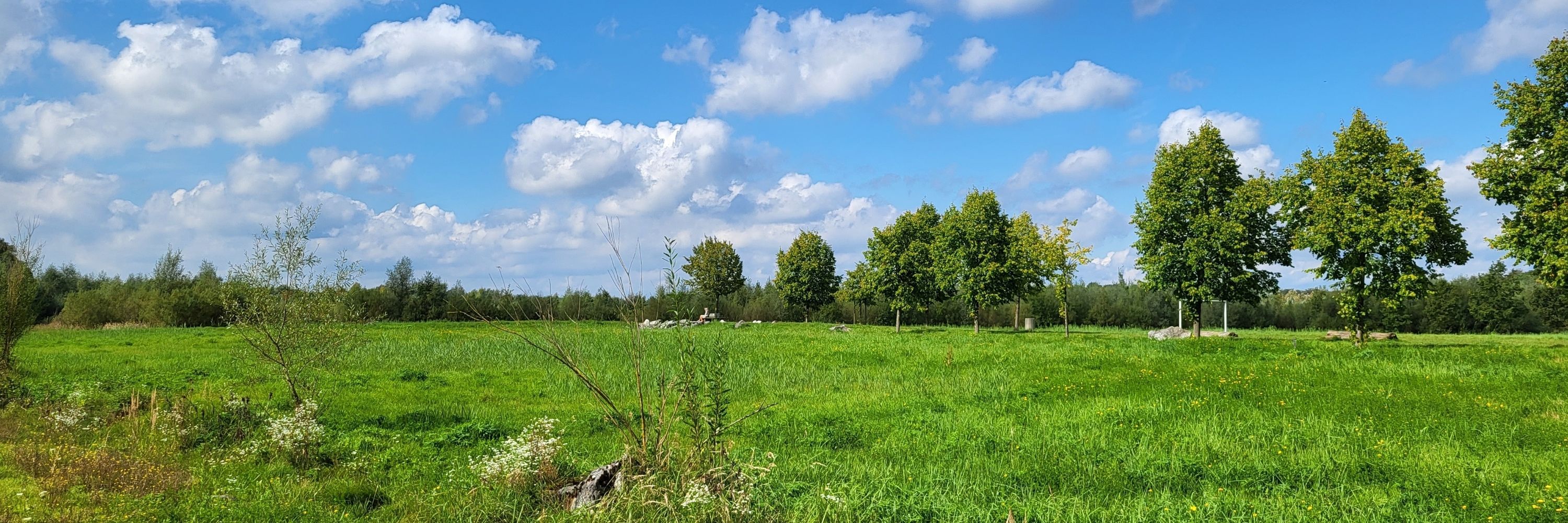 BaerbelVo