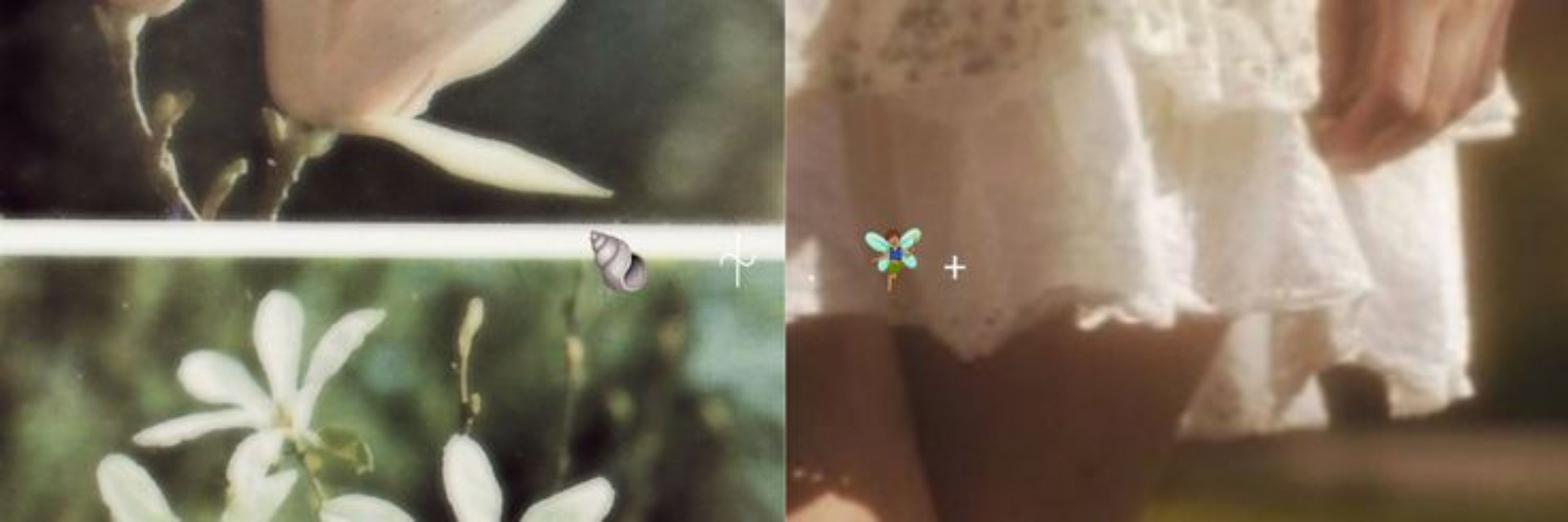ᥴһᥱrrᥡ⚢