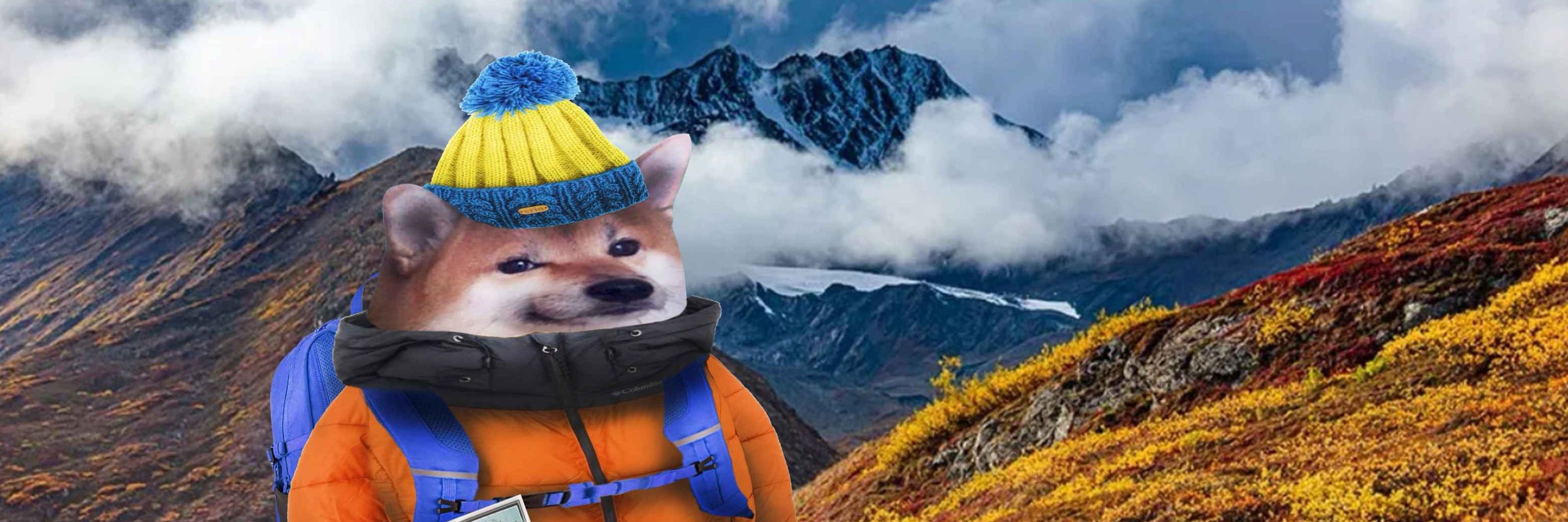 Alaska Fella