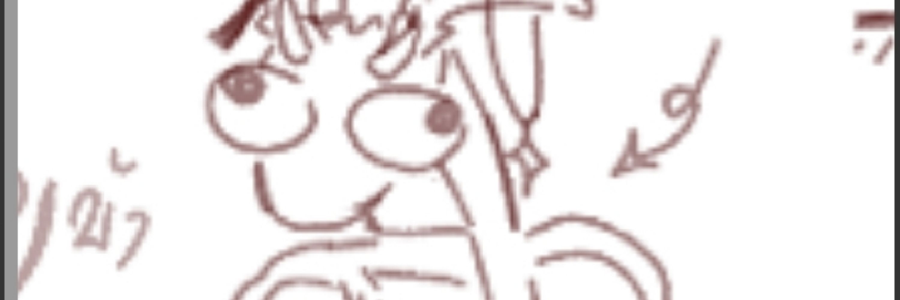 Fox_White